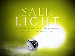 Salt& Light