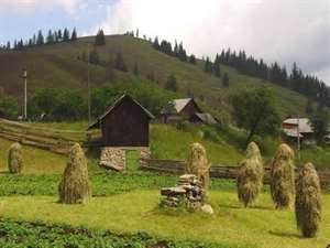 Bucovina