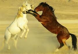 Dezbina si stamaneste