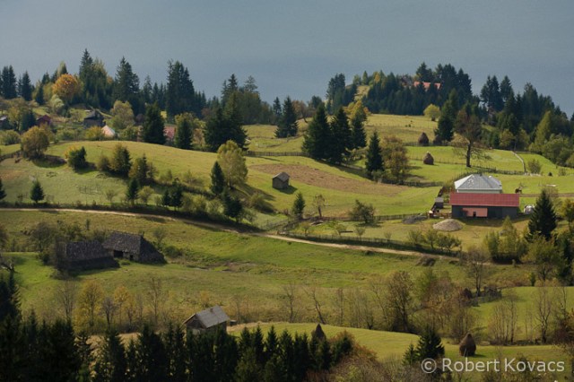 2010_10_10_Colibita_0056