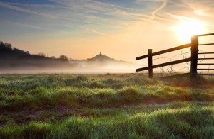 406781_480838731981475_242904021_n