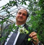 Dacicool-Branduri-Branduri_romanesti-Hofigal-Stefan-Manea