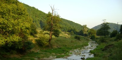 Poiana Blenchii-Gostila