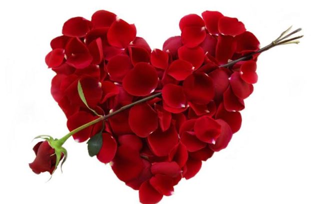 332ce79c-2b6f-4808-8aa4-19f745df55ac