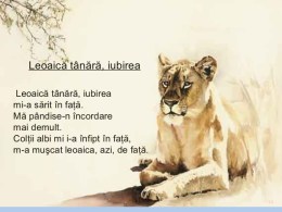 1-nichita-stanescu-liceu-pedagogic-de-prezentat-gata-20-728