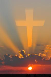 531294_306343189431764_100001682556017_729692_1359846539_n1