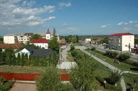 d44856d2-9cc0-48f5-9a50-1c496faa9bd7