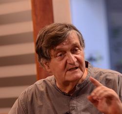 14-15_STEFANESCU_13_MI