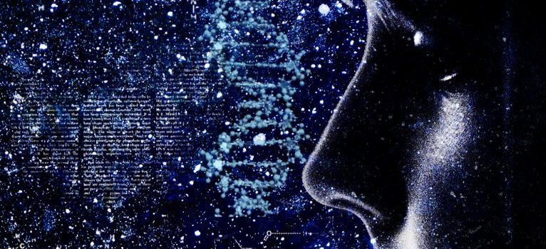 p_18397_766x350-10-85