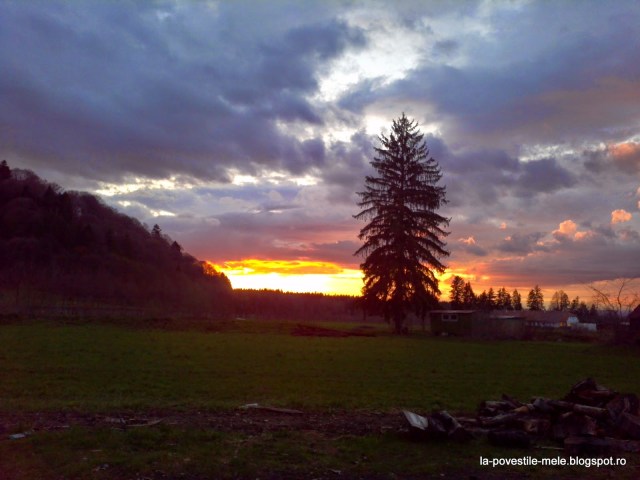 2013-04-13_19-59-08_12