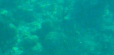 haos-foto-teodora-400x194